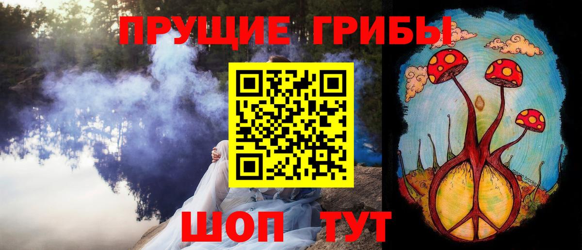 Гулькевичи  Галлюциногенные грибы Psilocybe  Вход с VPN  Псилоцибиновые грибы мухоморы 